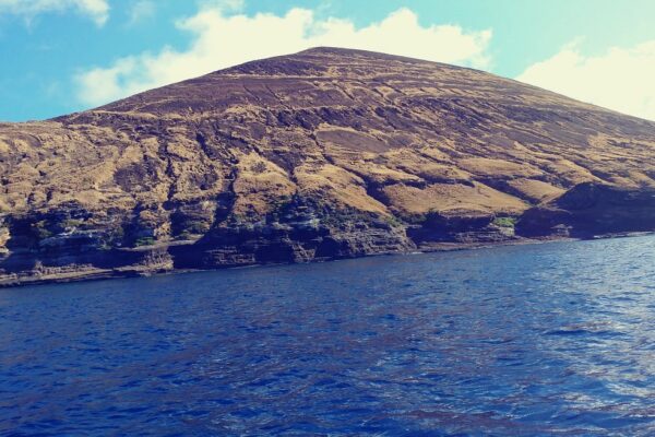 Kauai Scuba Tours by Bubbles Below