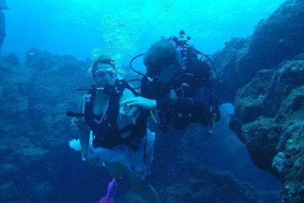 Kauai Scuba Tours by Bubbles Below