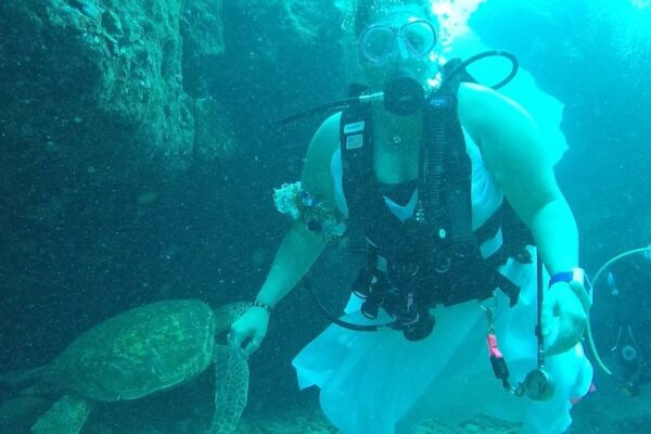 Kauai Scuba Tours by Bubbles Below