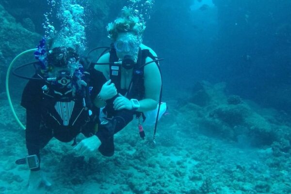 Kauai Scuba Tours by Bubbles Below