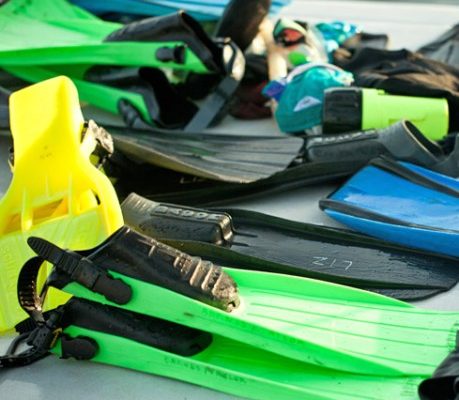 Kauai Scuba Tours by Bubbles Below