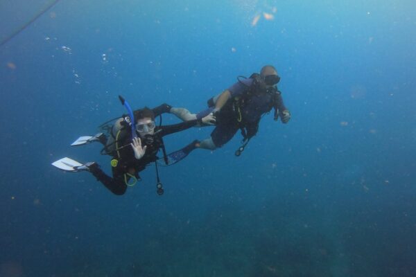 Kauai Scuba Tours by Bubbles Below