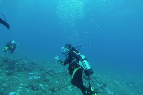 Kauai Scuba Tours by Bubbles Below