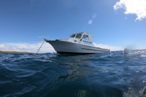 Kauai Scuba Tours by Bubbles Below