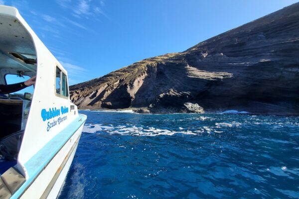 Kauai Scuba Tours by Bubbles Below