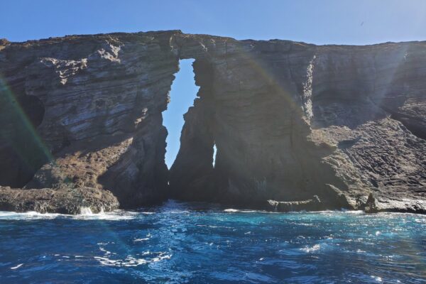 Kauai Scuba Tours by Bubbles Below