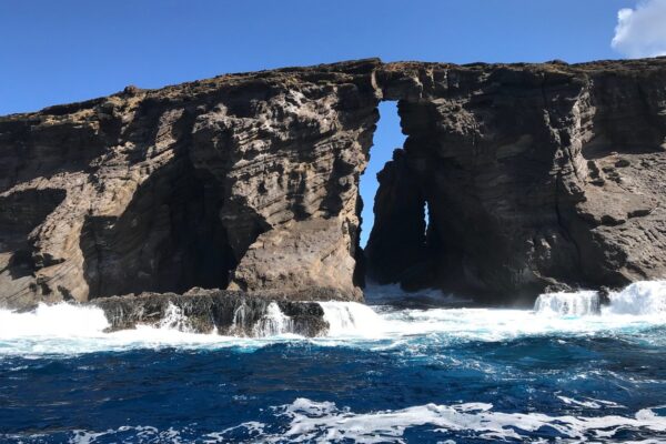 Kauai Scuba Tours by Bubbles Below