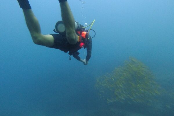 Kauai Scuba Tours by Bubbles Below