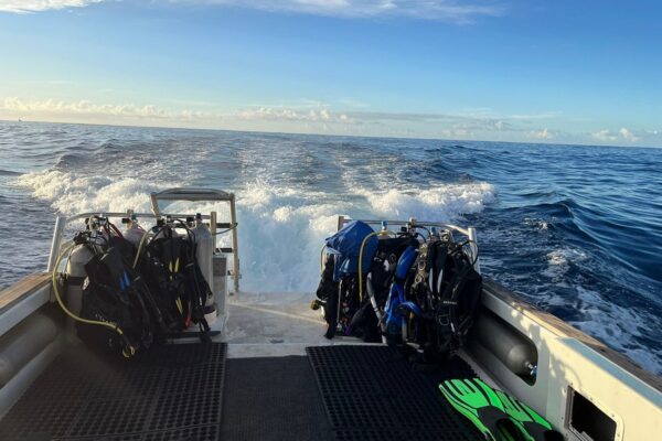 Kauai Scuba Tours by Bubbles Below