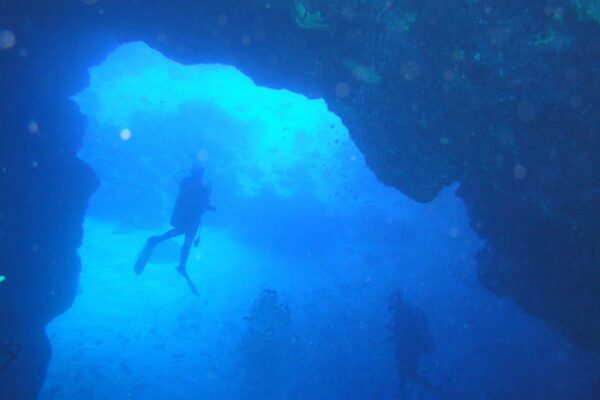 Kauai Scuba Tours by Bubbles Below