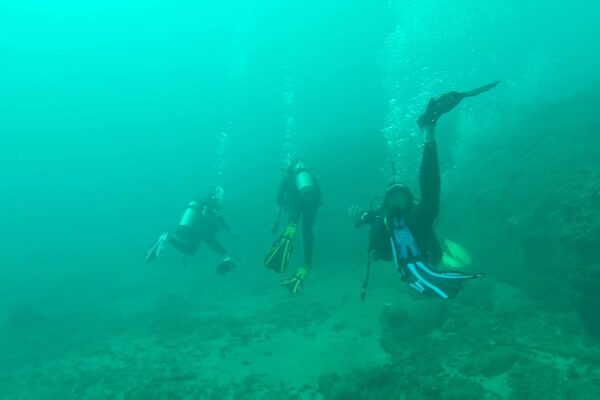 Kauai Scuba Tours by Bubbles Below