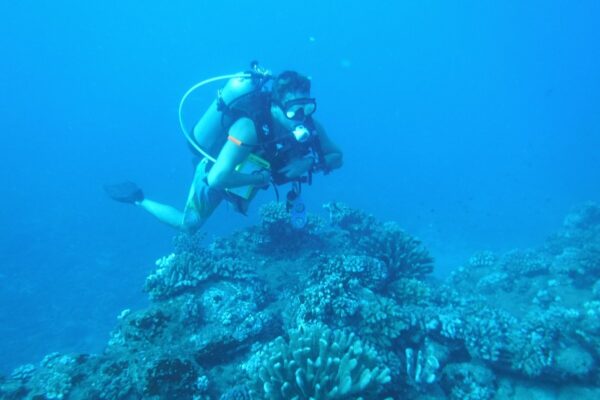 Kauai Scuba Tours by Bubbles Below
