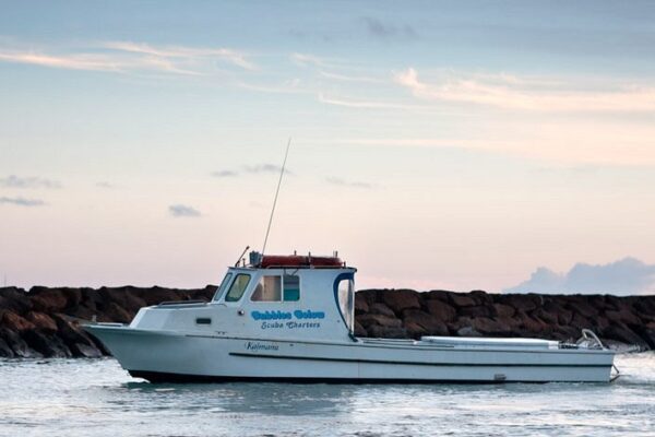 Kauai Scuba Tours by Bubbles Below