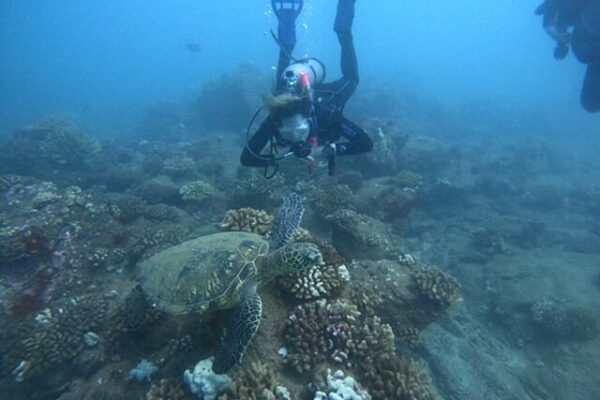 Kauai Scuba Tours by Bubbles Below